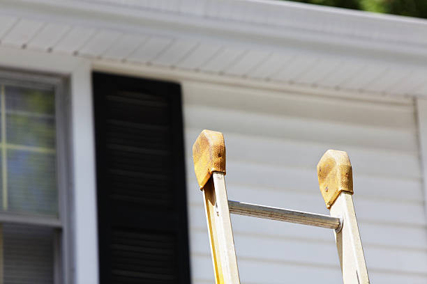 Best Residential Vinyl Siding Installation  in USA